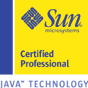 Sun Certified Web Component Developer (J2EE 1.4) (SCWCD)